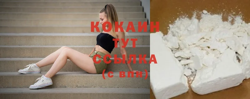COCAIN Эквадор  mega ссылка  Ядрин  хочу наркоту 