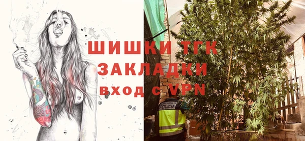 трава Кодинск