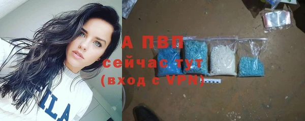 сатива Козельск