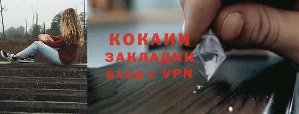 сатива Козельск