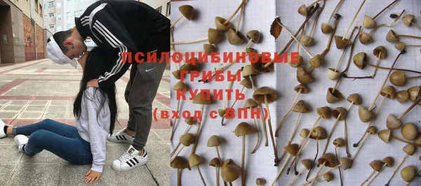 PSILOCYBIN Остров