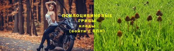 марки nbome Козловка