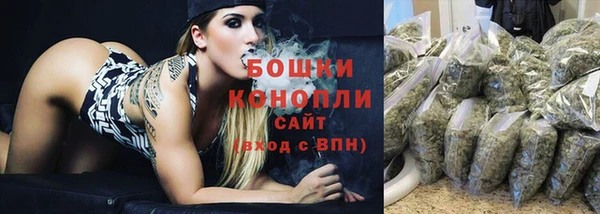 прущие грибы Киреевск